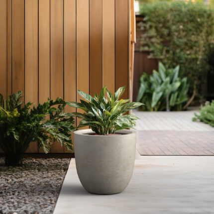 KANTE round weathered concrete planter with white flowers on a wooden poolside deck.